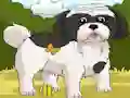 Igra Dogs Spot the Diffs Part 2 spletu