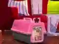 Igra Escape The Small Pug spletu