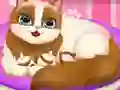 Igra Cute Kitty Pregnant spletu