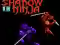 Igra Shadow of the Ninja spletu