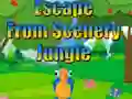 Igra Escape from Scenery Jungle spletu