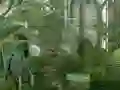 Igra Mystery Garden Escape spletu