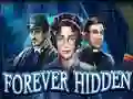 Igra Forever Hidden spletu