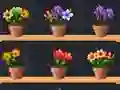 Igra Good Flower Master spletu