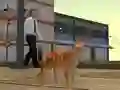 Igra Cat City Simulator spletu