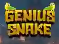 Igra Genius Snake spletu