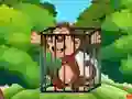 Igra Free the Captive Ape spletu