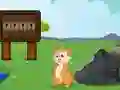 Igra Rescue the Squirrel from Stone spletu