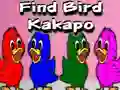 Igra Find Bird Kakapo spletu