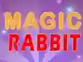 Igra Magic Rabbit spletu