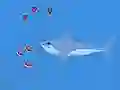 Igra Oceans Shees spletu