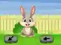 Igra Springtime Escape spletu