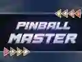 Igra Pinball Master spletu