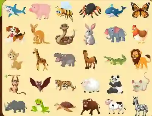 Igra Discover Animals spletu