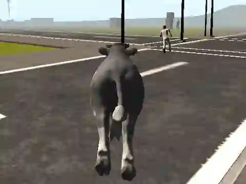Igra Crazy Bull City spletu