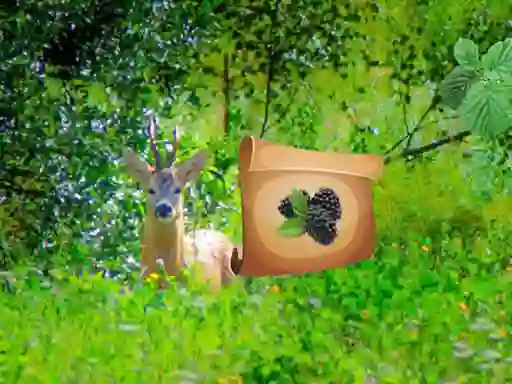 Igra Return To Alsunga Forest spletu