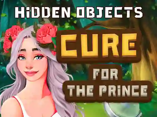 Igra Hidden Objects Cure For The Prince spletu