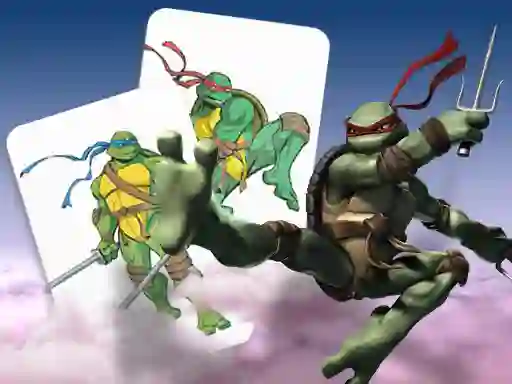 Igra Ninja Turtles Memory card Match spletu