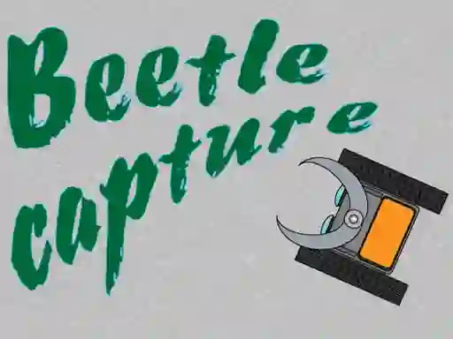 Igra Beetle Capture spletu