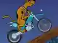 Igra Scooby Doo Trail spletu