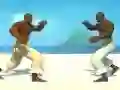 Igra Capoeira fighter spletu