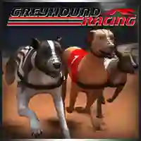 Igra Greyhound Racing spletu
