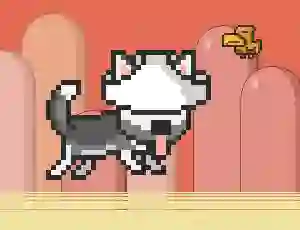 Igra Mr Jump Husky spletu