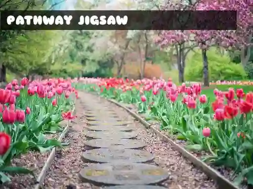 Igra Pathway Jigsaw spletu