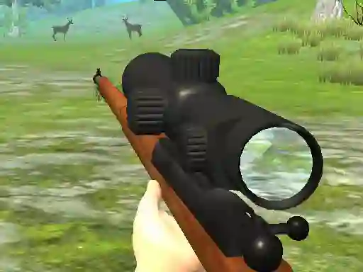Igra Hunter 3D spletu