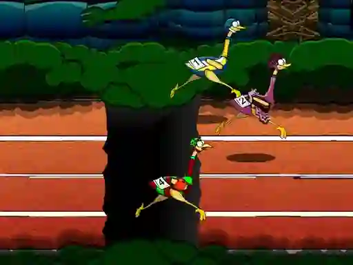 Igra Big Birds Racing spletu