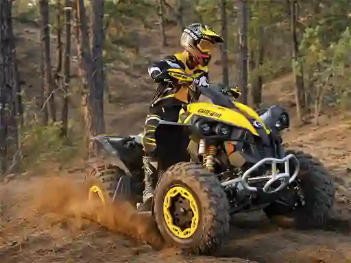 Igra ATV Offroad Puzzle spletu
