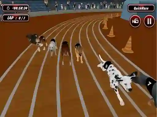 Igra Crazyl Dog Racing Fever spletu