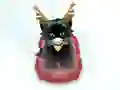 Igra Pet Sledding spletu