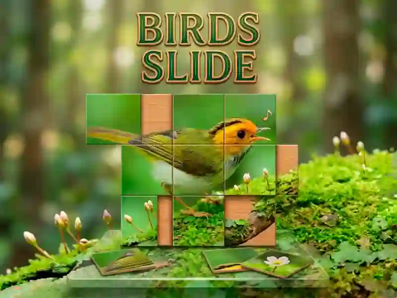 Igra Birds Slide spletu