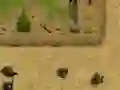 Igra Ambush spletu