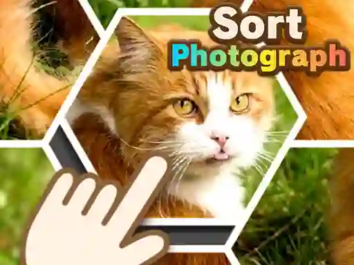 Igra Sort Photograph spletu
