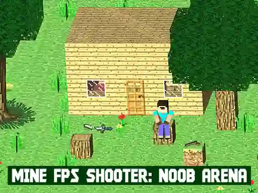 Igra Mine FPS Shooter: Noob Arena spletu