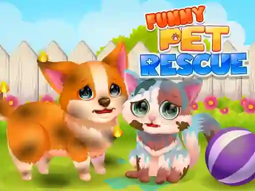 Igra Funny Rescue Pet spletu