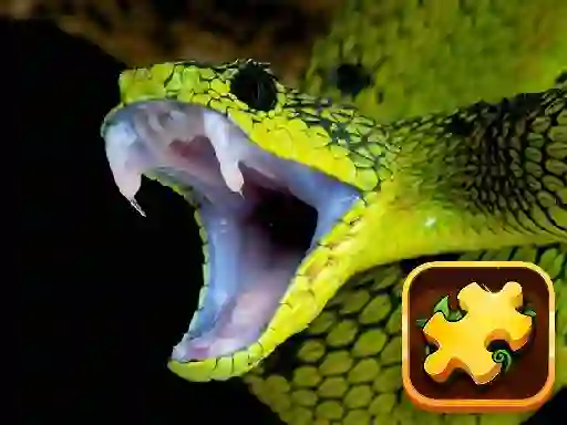 Igra Snake Puzzle Challenge spletu