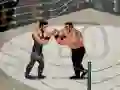 Igra Smash Boxing spletu