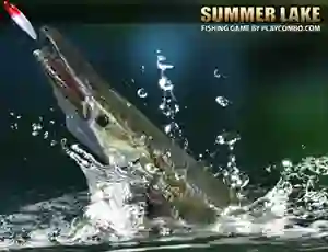Igra Summer Lake spletu