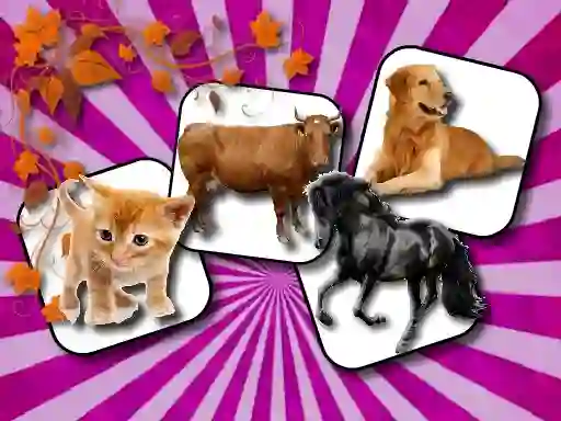 Igra Domestic Animal Memory Challenge spletu