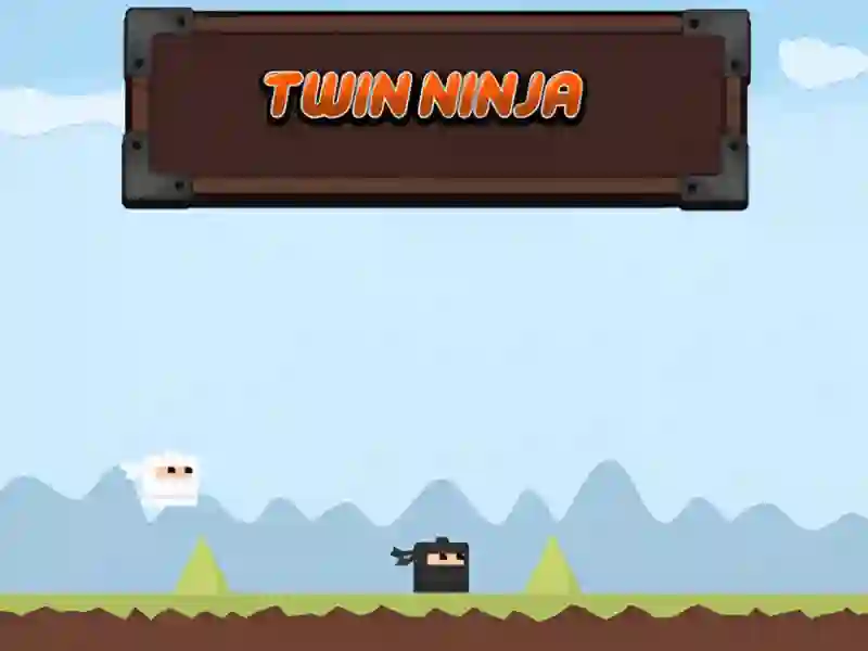 Igra Twin Ninja spletu