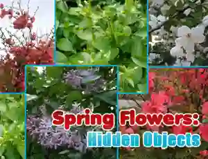 Igra Spring Flowers: Hidden Objects spletu