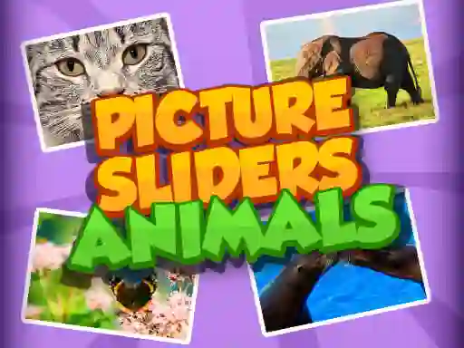 Igra Picture Slider Animals spletu