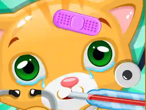 Igra Little Cat Doctor spletu