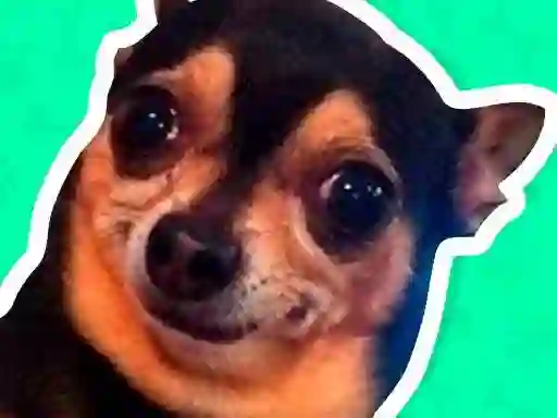 Igra What meme dog are you ? spletu