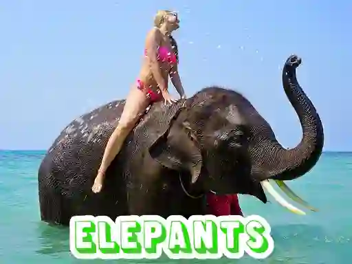 Igra Elephants Puzzle spletu