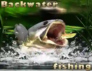 Igra Backwater Fishing spletu