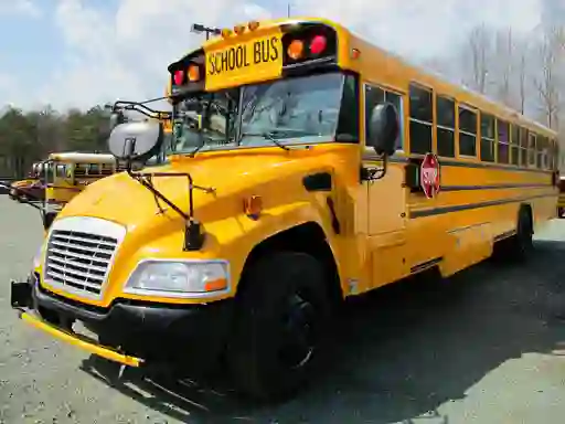 Igra School Buses Puzzle spletu
